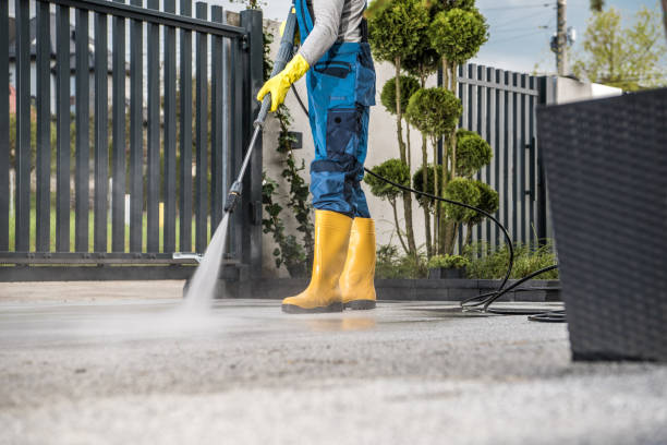 Best Affordable Power Washing  in Hidalgo, TX