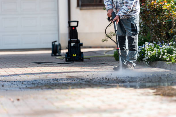 Best Deck Pressure Washing  in Hidalgo, TX