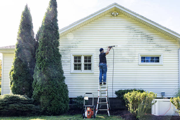 Best Residential Pressure Washing Services  in Hidalgo, TX