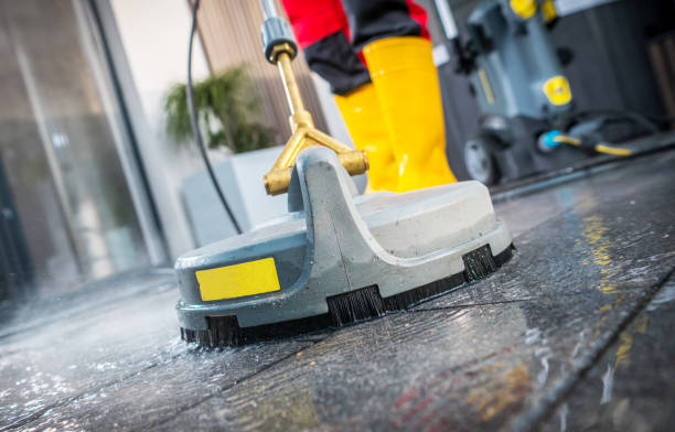 Best Local Pressure Washing Services  in Hidalgo, TX