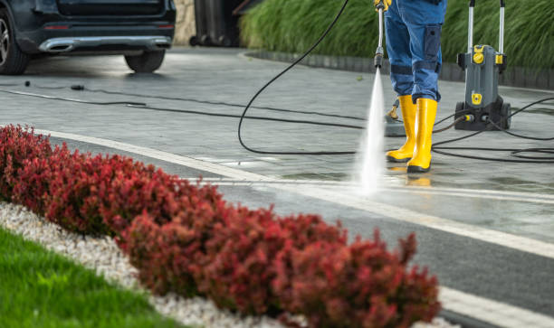Best Residential Pressure Washing Services  in Hidalgo, TX